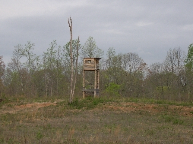 Image for Auctioning Three Tracts of Land on the Staunton River!