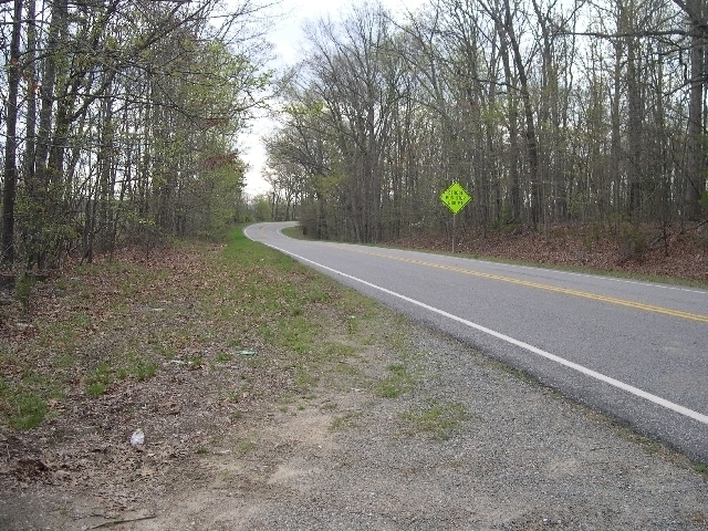 Image for Auctioning Three Tracts of Land on the Staunton River!