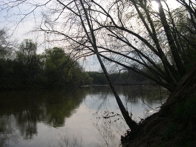 Image for Auctioning Three Tracts of Land on the Staunton River!