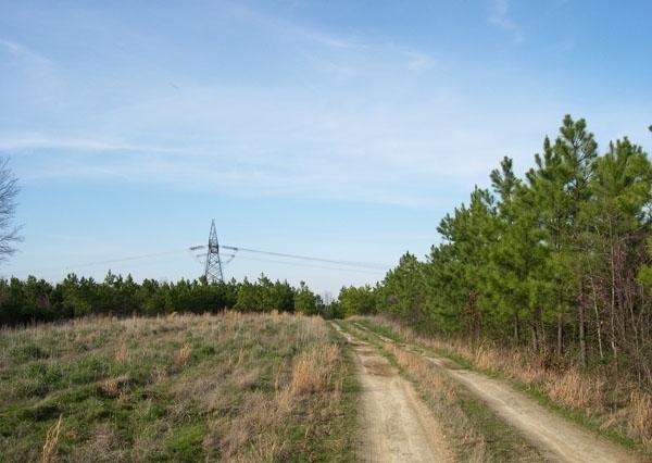 Image for Auctioning Three Tracts of Land on the Staunton River!