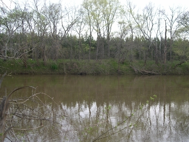 Image for Auctioning Three Tracts of Land on the Staunton River!