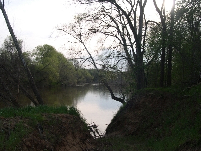 Image for Auctioning Three Tracts of Land on the Staunton River!