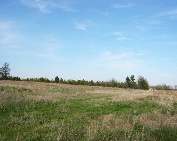 Image for Auctioning Three Tracts of Land on the Staunton River!