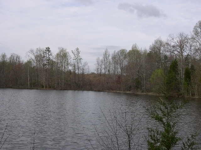 Image for Auctioning Three Tracts of Land on the Staunton River!