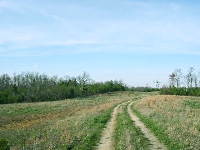 Image for Auctioning Three Tracts of Land on the Staunton River!