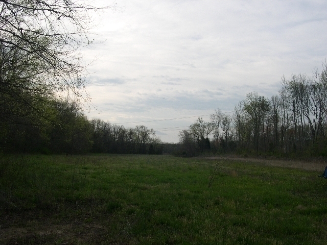 Image for Auctioning Three Tracts of Land on the Staunton River!