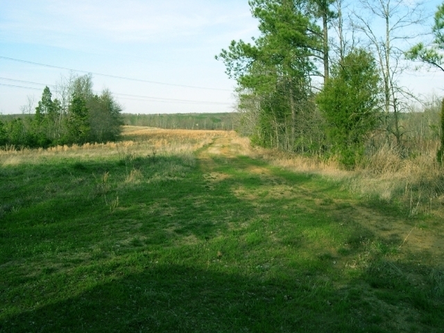 Image for Auctioning Three Tracts of Land on the Staunton River!