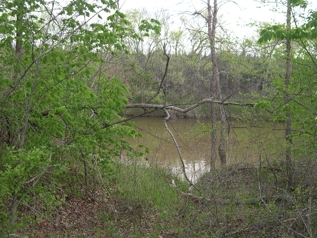 Image for Auctioning Three Tracts of Land on the Staunton River!