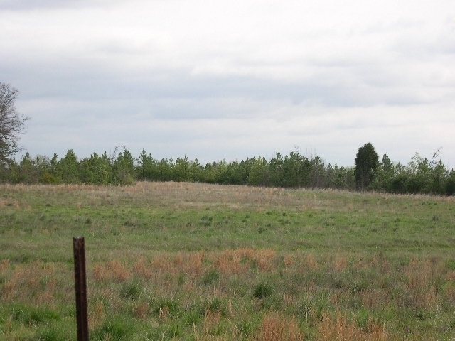 Image for Auctioning Three Tracts of Land on the Staunton River!