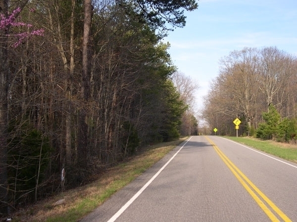 Image for Auctioning Three Tracts of Land on the Staunton River!