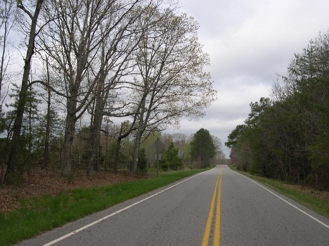 Image for Auctioning Three Tracts of Land on the Staunton River!