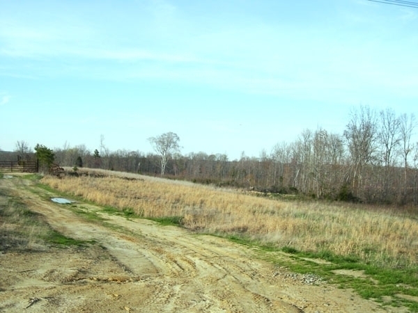 Image for Auctioning Three Tracts of Land on the Staunton River!