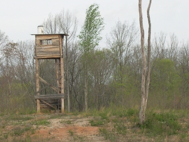 Image for Auctioning Three Tracts of Land on the Staunton River!