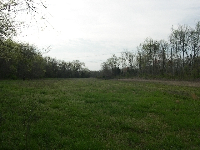 Image for Auctioning Three Tracts of Land on the Staunton River!