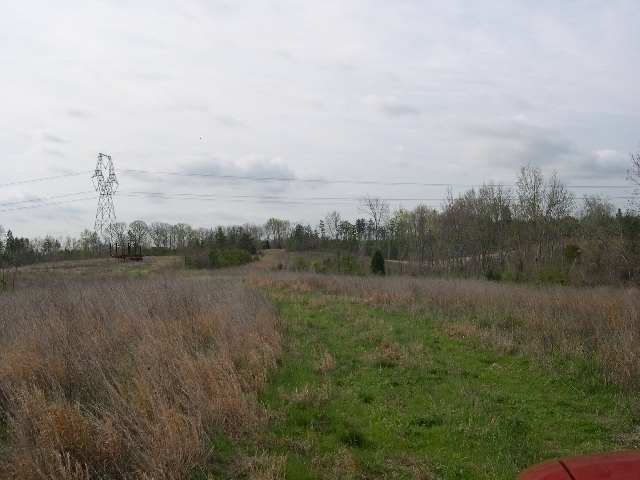 Image for Auctioning Three Tracts of Land on the Staunton River!