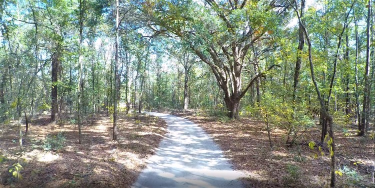 Image for 57+/- Acres Offered Divided