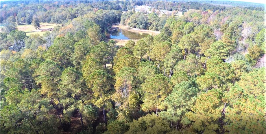 Image for Auction: Charming Country Retreat located on 57+/- Acres. Lee County, Georgia