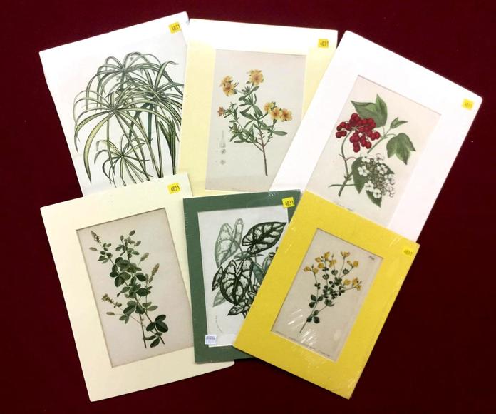 Image for Discovery Art Auction: 12-7-17