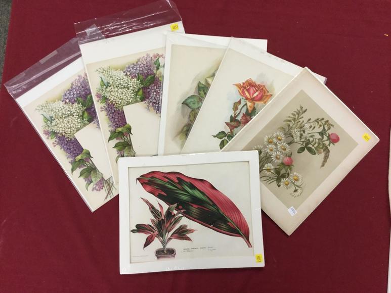 Image for Discovery Art Auction: 12-7-17