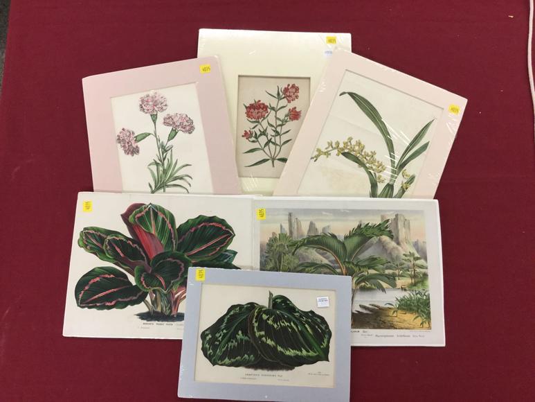 Image for Discovery Art Auction: 12-7-17