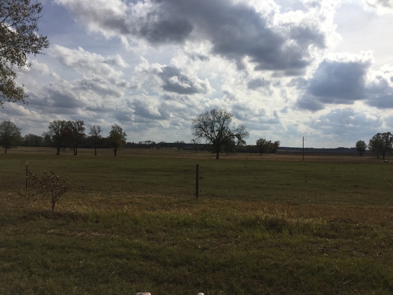 Image for Now Selling at Absolute Auction! 110 +/- Acre Cattle Farm Located in Shellman, Georgia
