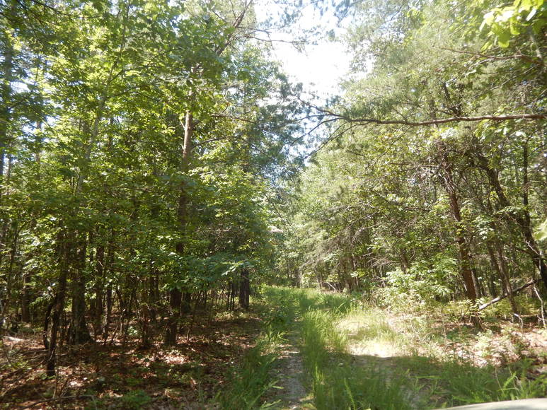 Image for 2 Lots on Oxford Furnace Rd in Lynchburg, VA 24504