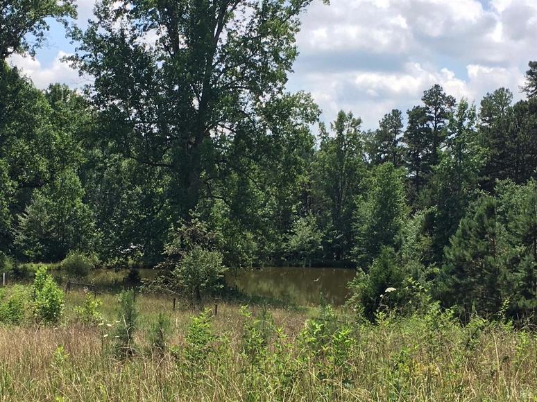 Image for 2921  East Ferry Rd,  Gladys, VA  24554