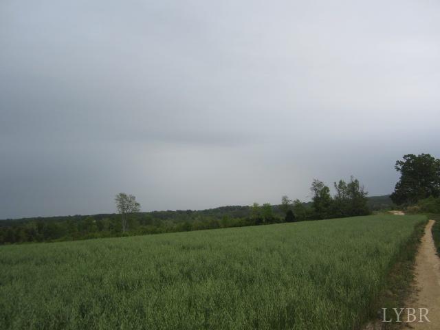 Image for 96.4 Acres on Oak St, Brookneal, VA 24528