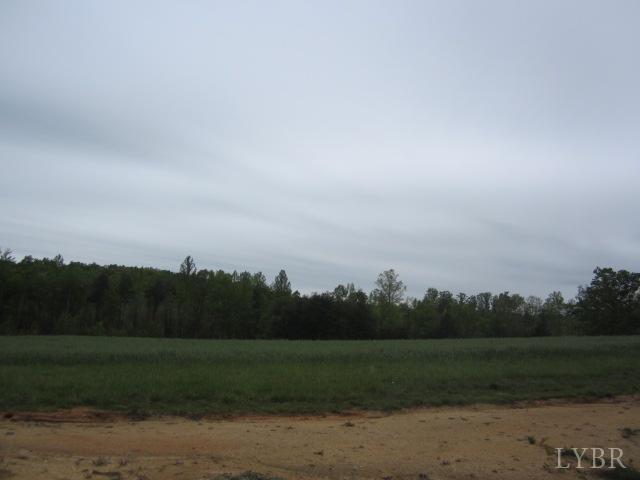 Image for 96.4 Acres on Oak St, Brookneal, VA 24528