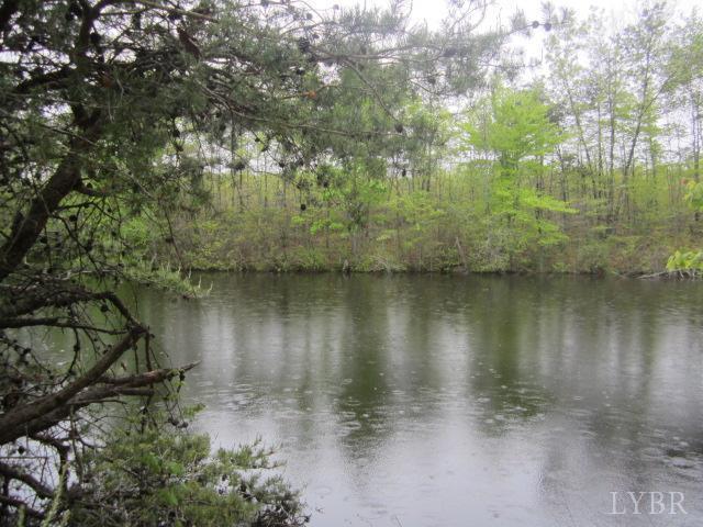 Image for 96.4 Acres on Oak St, Brookneal, VA 24528