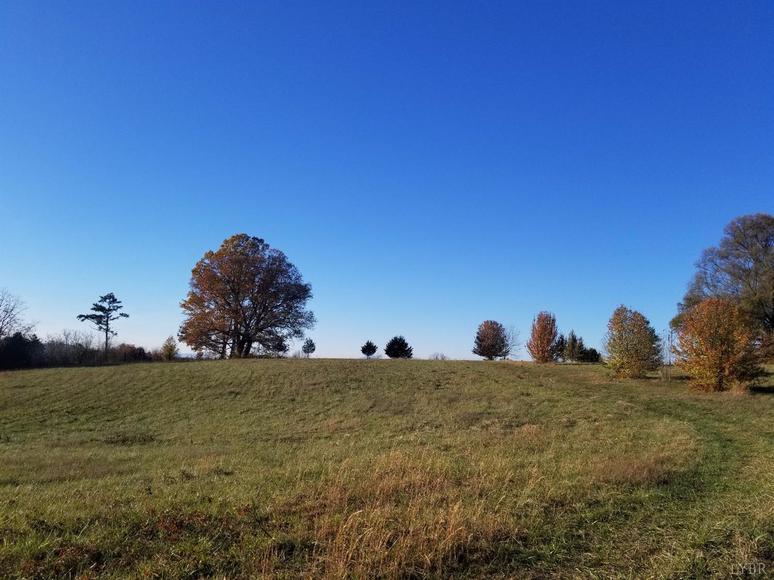 Image for 107.11 acres on Wards Rd,  Altavista, VA  24517