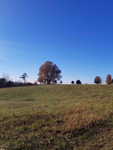 Image for 107.11 acres on Wards Rd,  Altavista, VA  24517