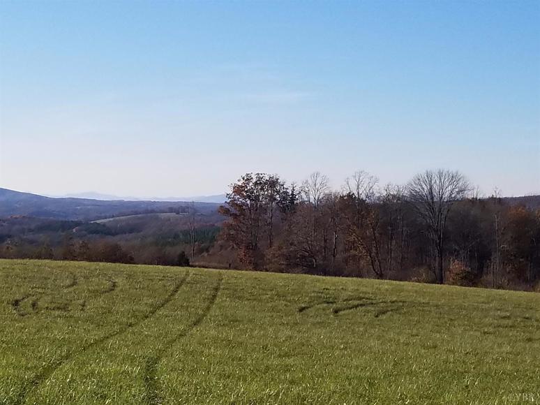 Image for 107.11 acres on Wards Rd,  Altavista, VA  24517