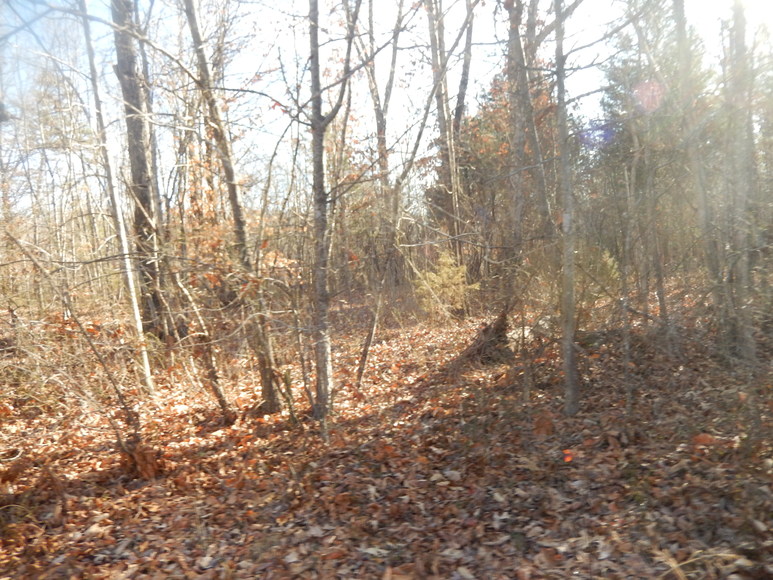 Image for Leesville Rd / Dearborn Rd Lots