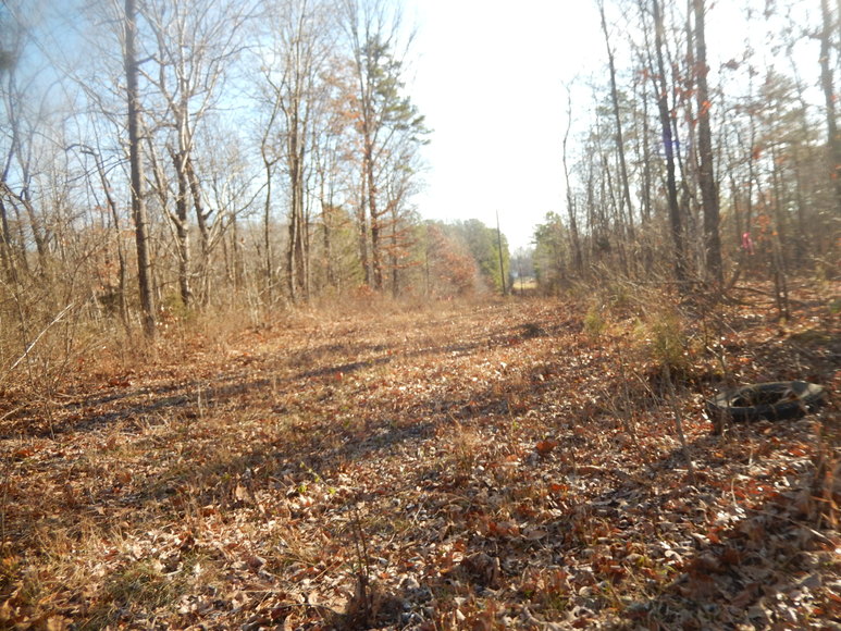 Image for Leesville Rd / Dearborn Rd Lots