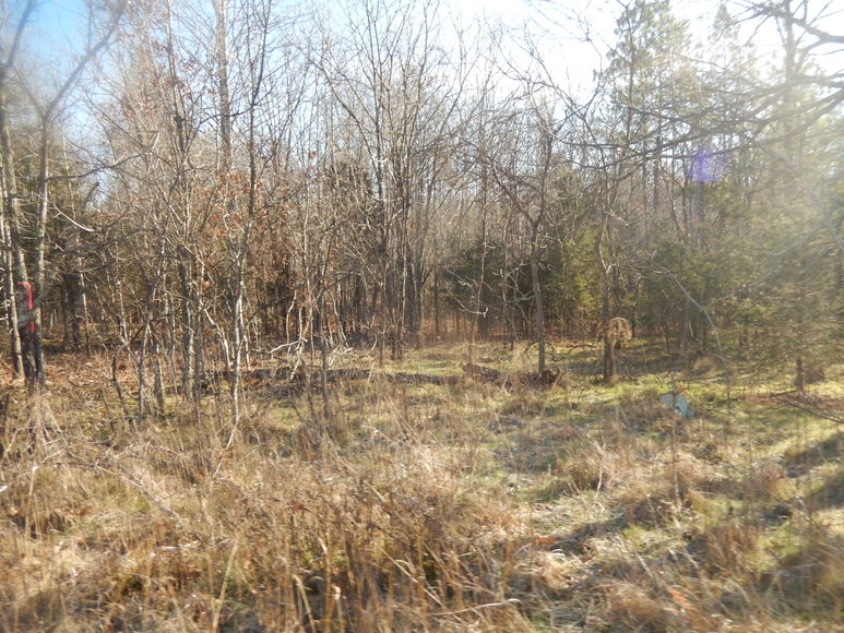 Image for Leesville Rd / Dearborn Rd Lots