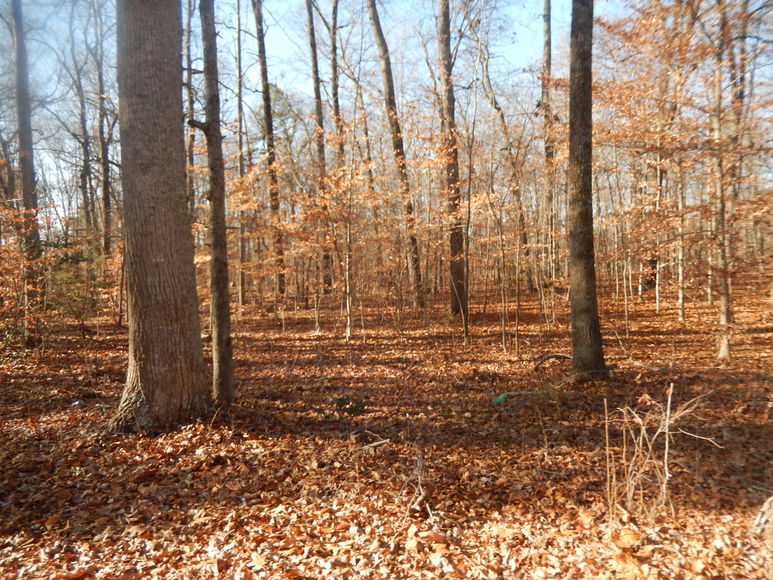 Image for Leesville Rd / Dearborn Rd Lots