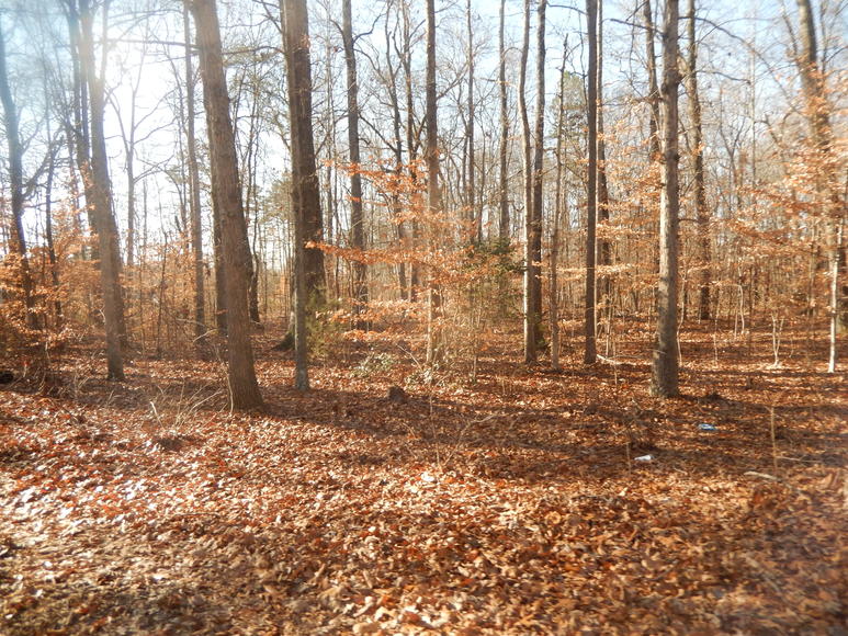 Image for Leesville Rd / Dearborn Rd Lots