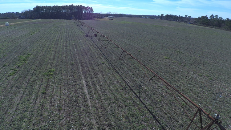 Image for Selling Absolute! 87+/- Acres Located in Colquitt County, Georgia