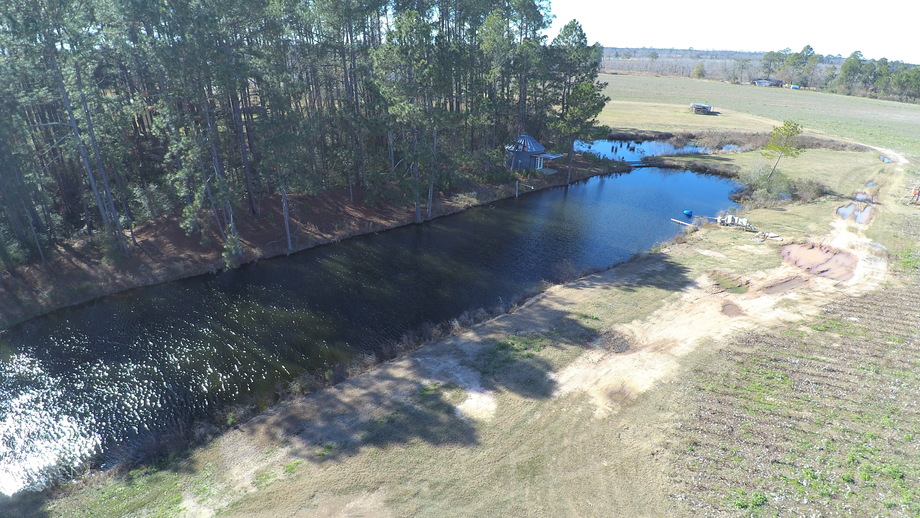 Image for Selling Absolute! 87+/- Acres Located in Colquitt County, Georgia