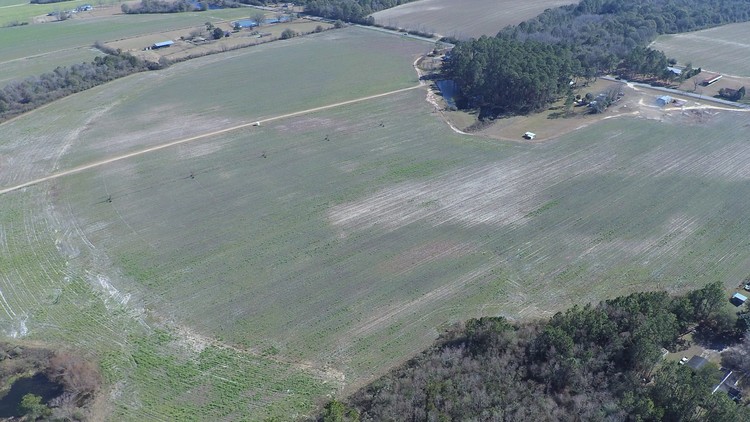 Image for 87+/- Acres Agricultural Tract Selling Absolute!