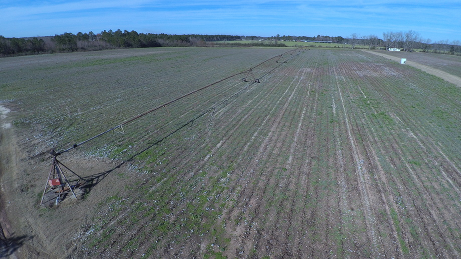 Image for Selling Absolute! 87+/- Acres Located in Colquitt County, Georgia