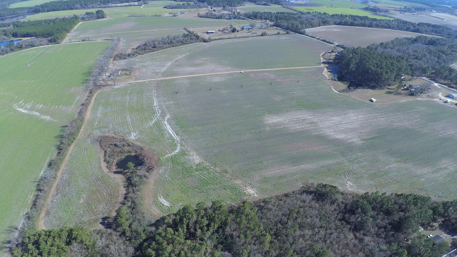 Image for Selling Absolute! 87+/- Acres Located in Colquitt County, Georgia