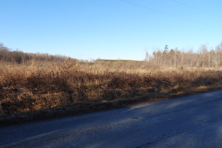 Image for 26 +/- Acres of Raw Land in Spotsylvania County, VA Selling at or Above $25,000!!  ONLINE BIDDING ONLY