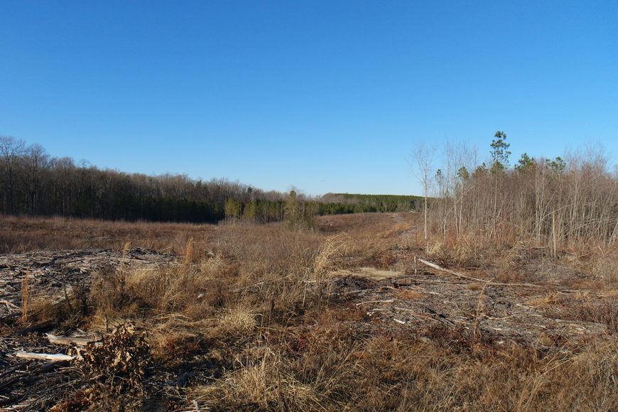 Image for 26 +/- Acres of Raw Land in Spotsylvania County, VA Selling at or Above $25,000!!  ONLINE BIDDING ONLY