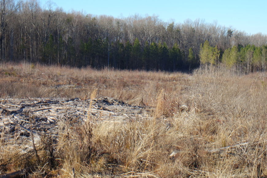 Image for 26 +/- Acres of Raw Land in Spotsylvania County, VA Selling at or Above $25,000!!  ONLINE BIDDING ONLY