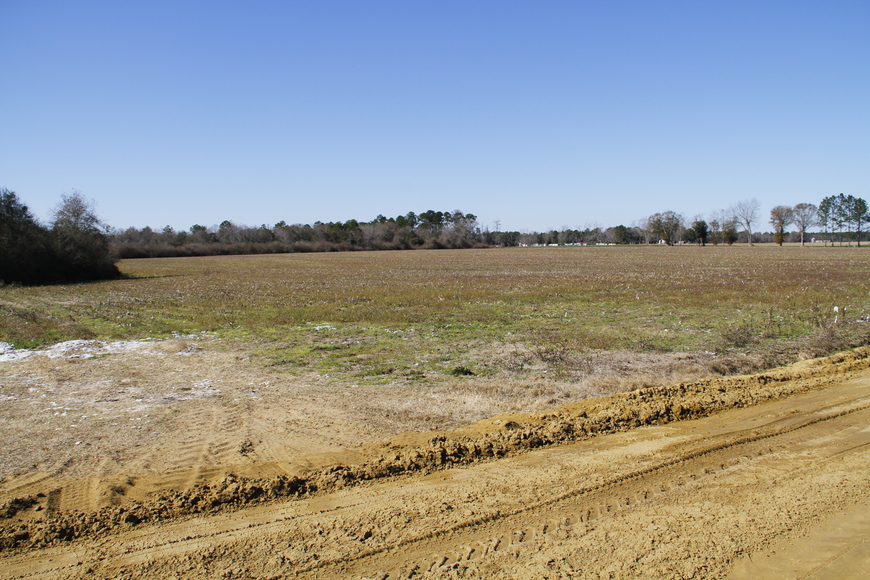 Image for Selling Absolute! 57 Acre Farm Located in Colquitt County