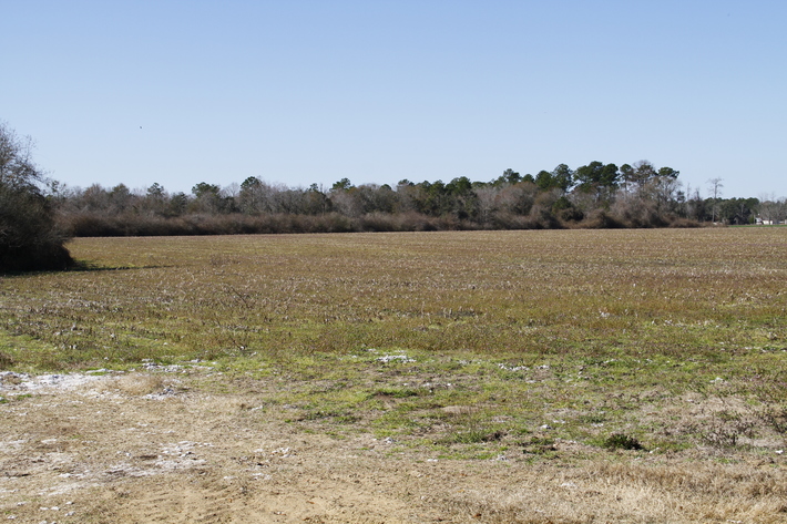 Image for Selling Absolute -57 Acre Farm. Hortman Road, Pavo