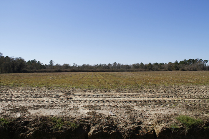 Image for Selling Absolute -57 Acre Farm. Hortman Road, Pavo