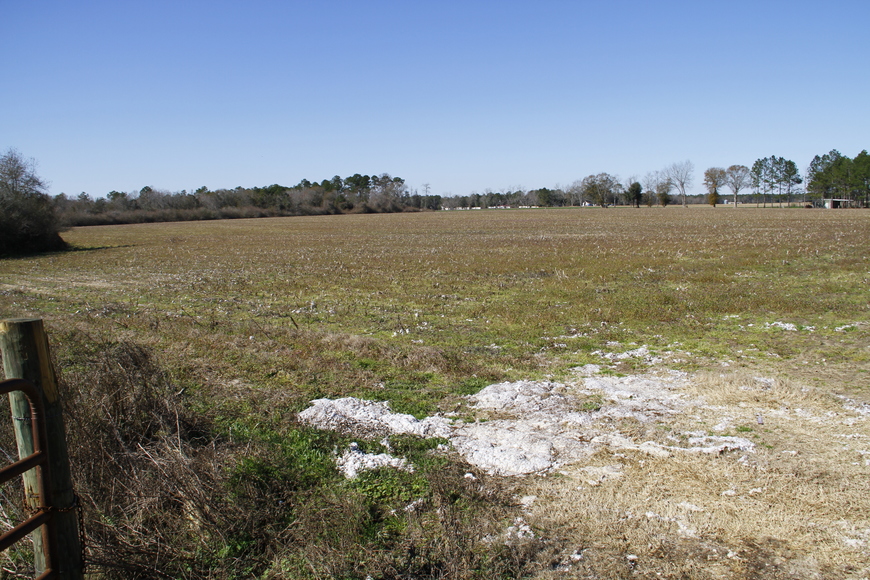 Image for Selling Absolute! 57 Acre Farm Located in Colquitt County
